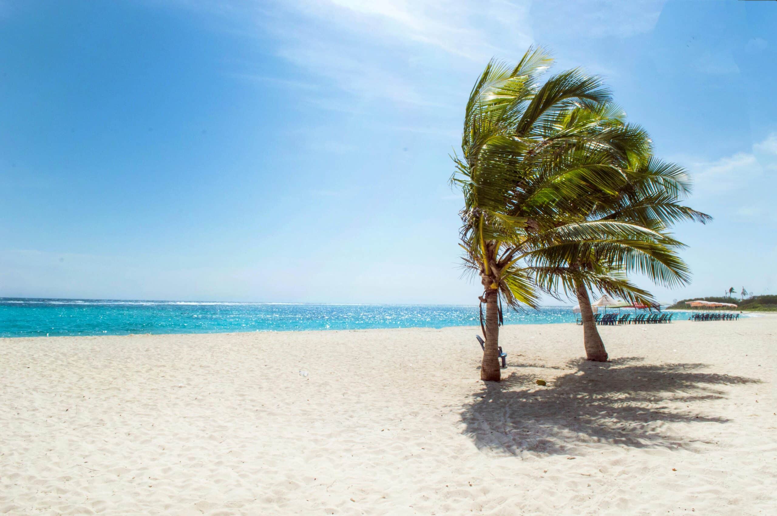 Serene tropical beach scene in La Luisa, Venezuela, featuring palm trees and clear blue waters.